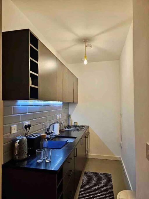 Spitalfields Market Garden Flat Londra